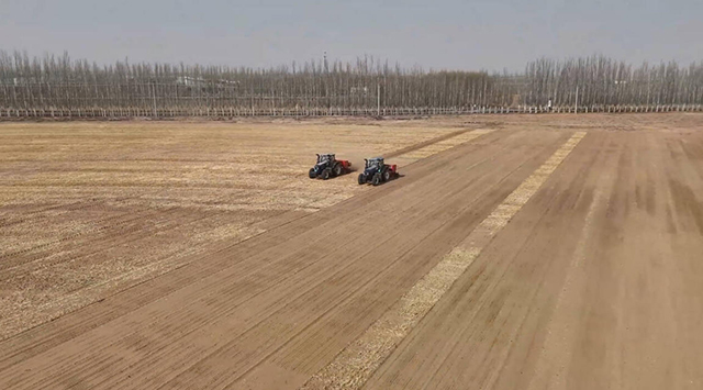 磴口县沙金套海苏木巴音宝力格嘎查小麦种植基地。马崔宇摄