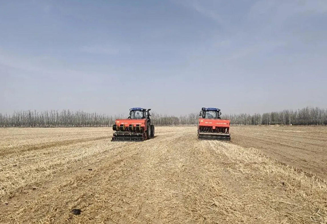 小麦立体匀播机械播种。赵磊摄