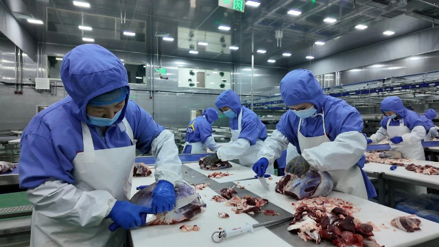 工人们加紧分割肉制品,赶制订单保障市场供应。梅英摄