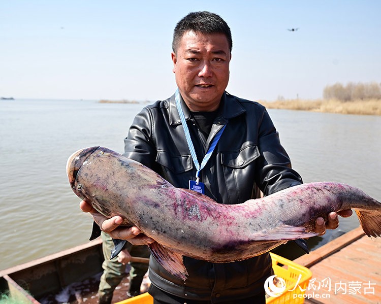 开河大鱼。人民网记者 寇雅楠摄