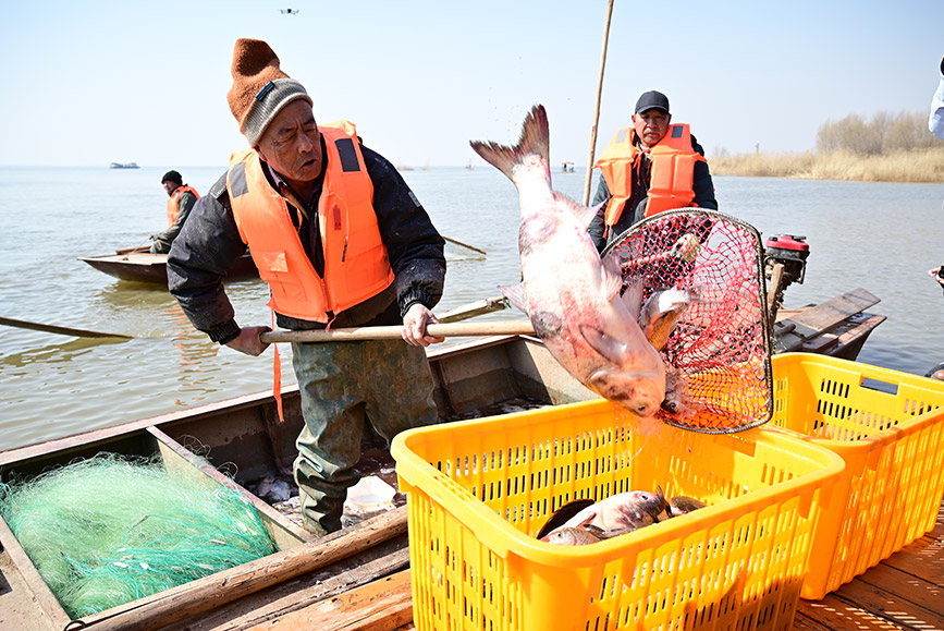 内蒙古哈素海，开河了！