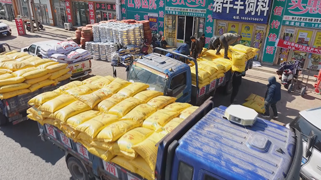 工人们将化肥送至经销门店。王森然摄