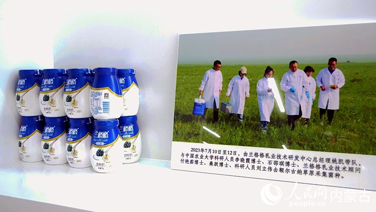 姚凯带领采菌队深入草原采集菌种。人民网记者 张力洋摄