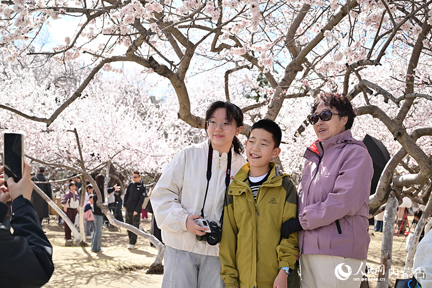 市民和家人在桃花树前合影留念。人民网记者 寇雅楠摄