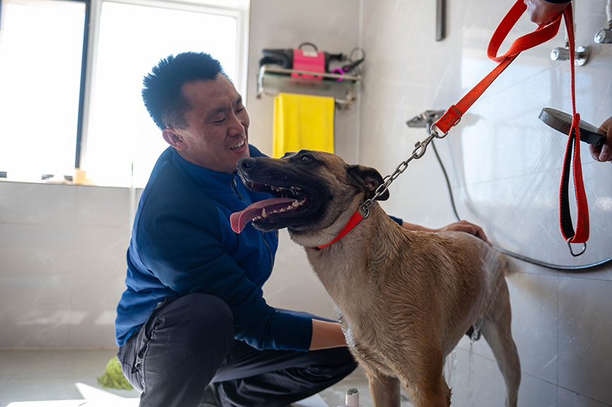 训导员给搜救犬洗澡