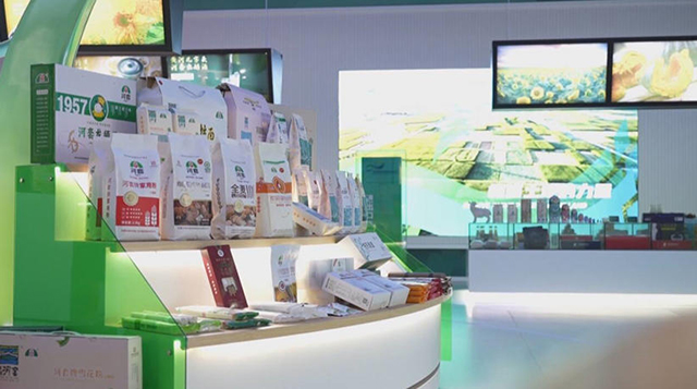 巴彦淖尔国家农高区累计实施95项关键技术攻关项目，2025年总产值达200.11亿元。陈志鸣摄