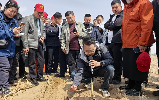 张国强博士蹲在地头，结合地块现场答疑解惑。王英杰摄）