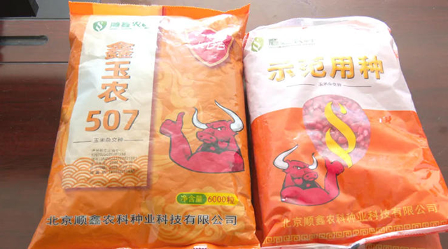 “鑫玉農507”和“京科青貯518"。