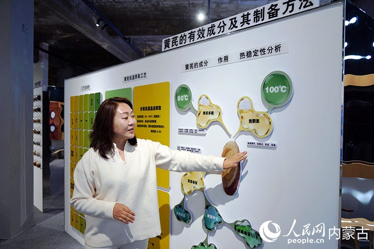 王彩娟在展厅中介绍黄芪的历史与功效。人民网记者 赵梦月摄