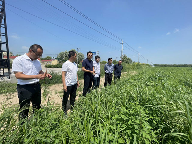 中关村科技企业家协会农业专家在种植区开展调研。
