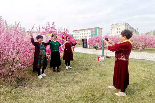 公园繁花盛放，市民游园打卡。