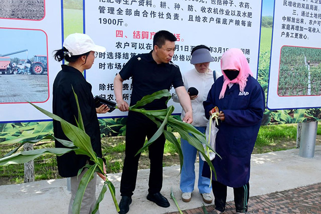 林荣教笔者如何看玉米长势。邵南摄