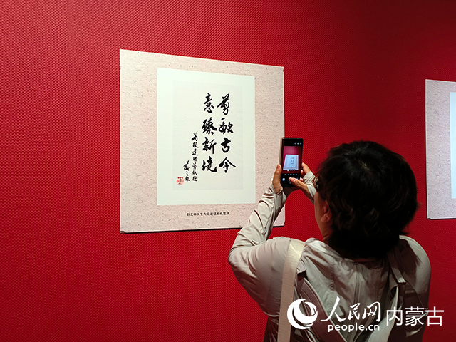 观展者拍摄靳之林先生的题辞。实习生 张美茹摄