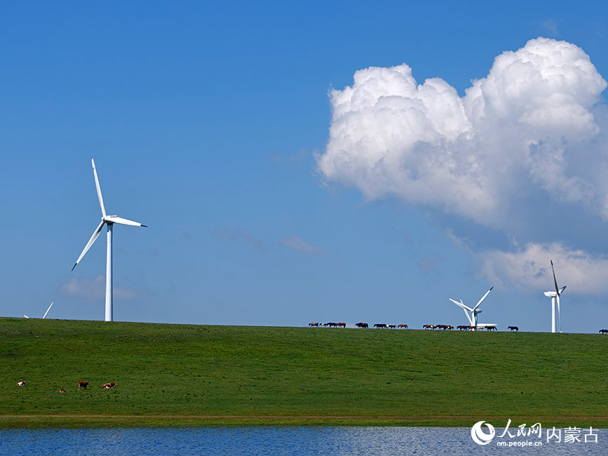 碧水、芳草、风车，绘就生态美景。人民网记者 苗阳摄