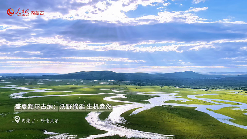 這一刻感受額爾古納夏日治愈美景