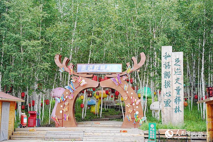 步入“桦林私语”，尽享夏日清凉。人民网记者 张聿修摄