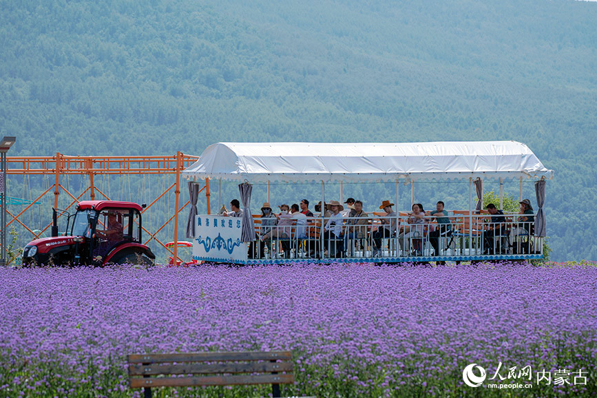 游客观赏美景。胡民摄