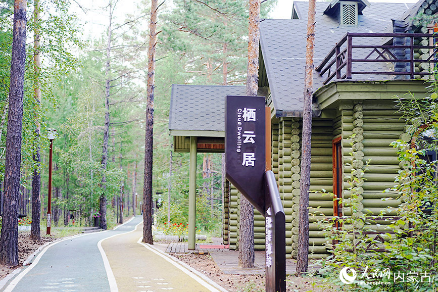 白鹿岛景区的森沐宿集。人民网记者 张聿修摄