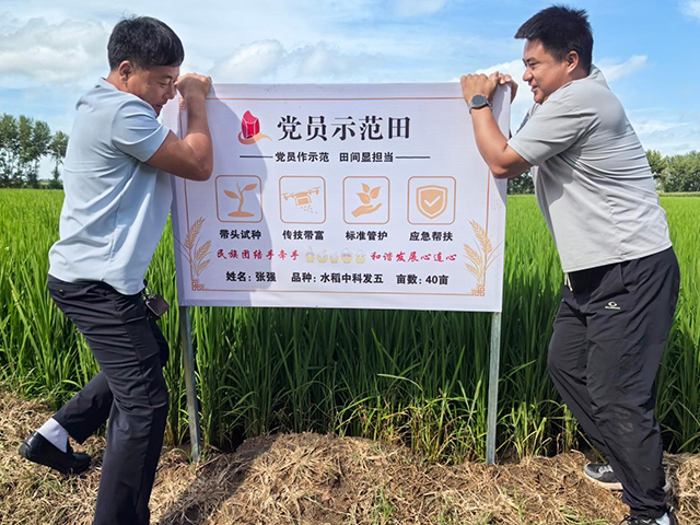 好力保镇五家子村紫苏种植产业基地。孟详迪摄