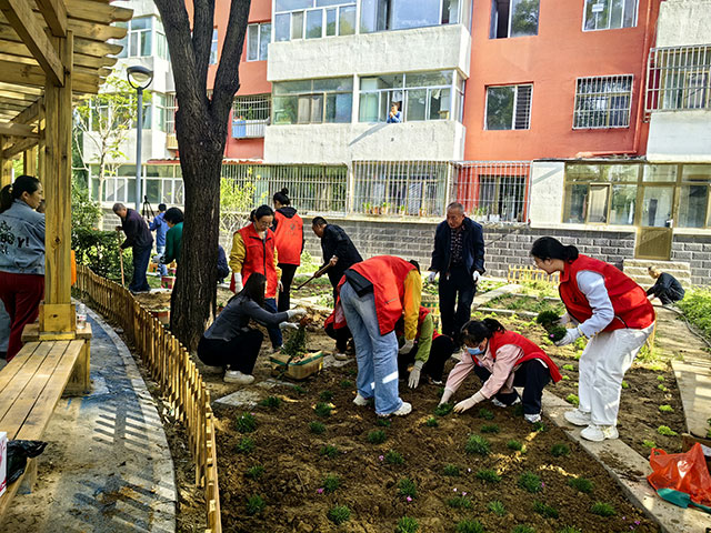 居民和工作人员在共享花园栽种植物。