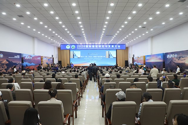 2026国际骆驼研究与发展大会。