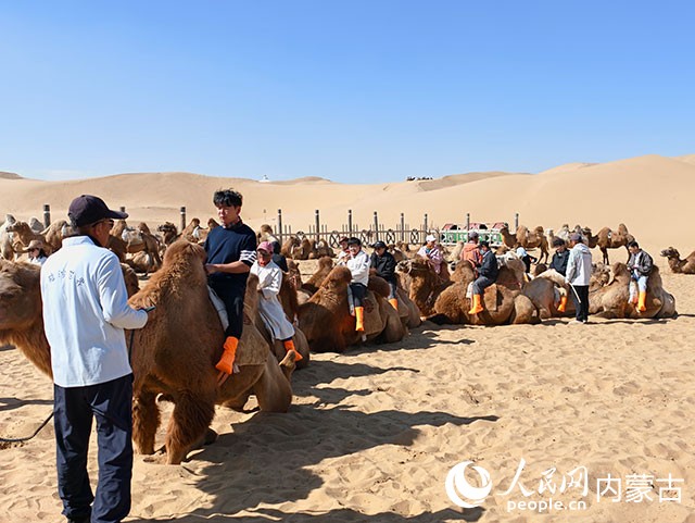 游客在内蒙古响沙湾旅游景区体验骑骆驼。人民网记者 苗阳摄