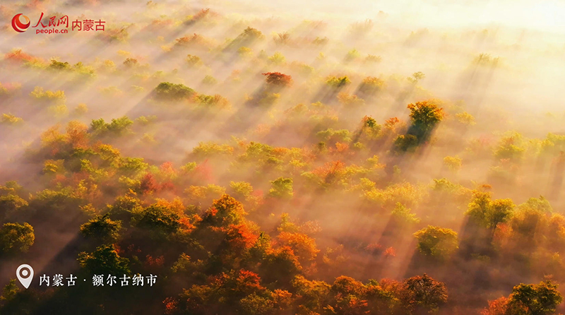 额尔古纳湿地云雾缭绕如仙境