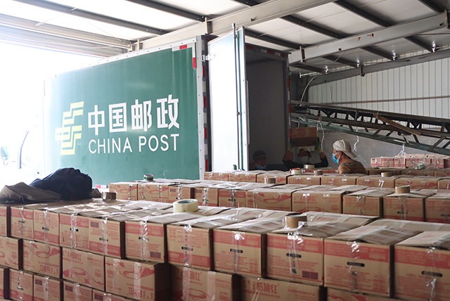 郵政助力農產品外運，“后旗紅”馬鈴薯裝箱裝車發往全國各地。姚學敏攝