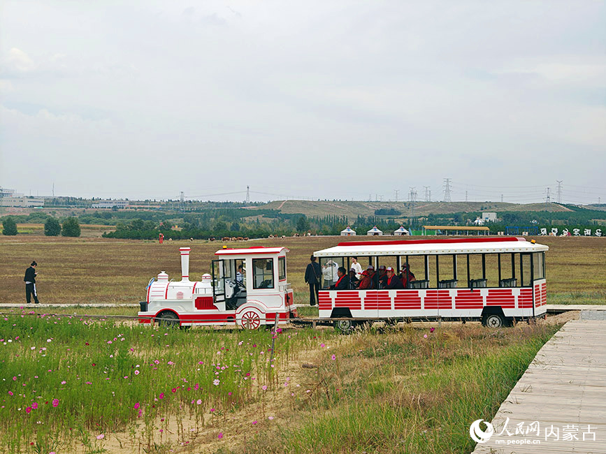 罕台草原上，游客乘坐小火車游覽景色。人民網記者 趙夢月攝