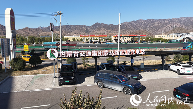 新能源汽车有序充电。自治区交通运输厅供图