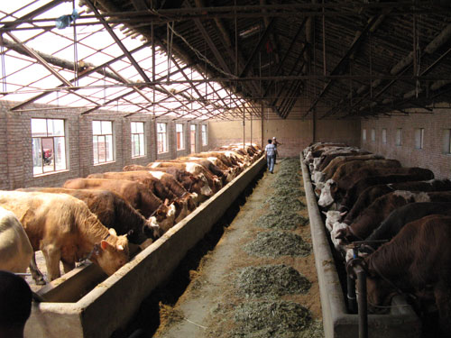 内蒙古自治区农业综合开发农牧业产业化项目: