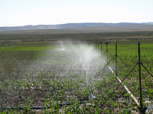 内蒙古自治区农业综合开发农牧业产业化项目: